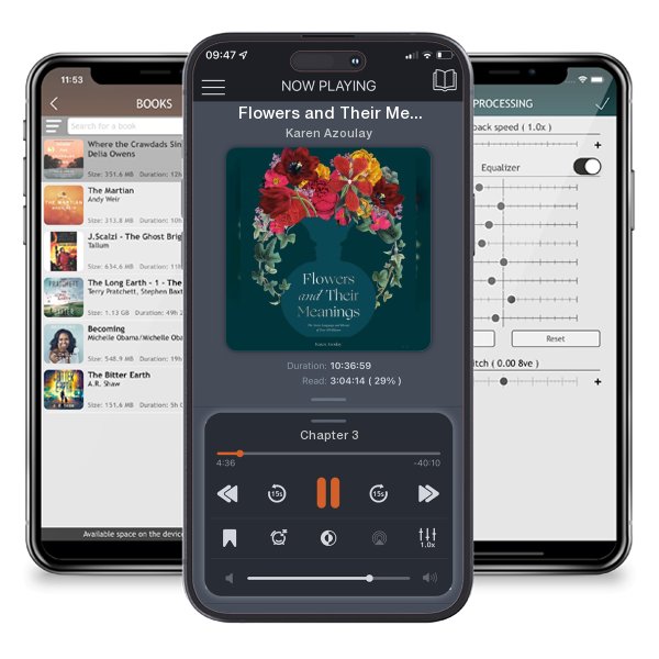 Download fo free audiobook Flowers and Their Meanings: The Secret Language and History... by Karen Azoulay and listen anywhere on your iOS devices in the ListenBook app.