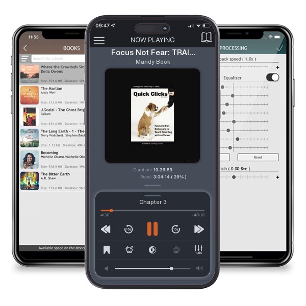 Download fo free audiobook Focus Not Fear: TRAINING INSIGHTS FROM A REACTIVE DOG CLASS by Mandy Book and listen anywhere on your iOS devices in the ListenBook app.