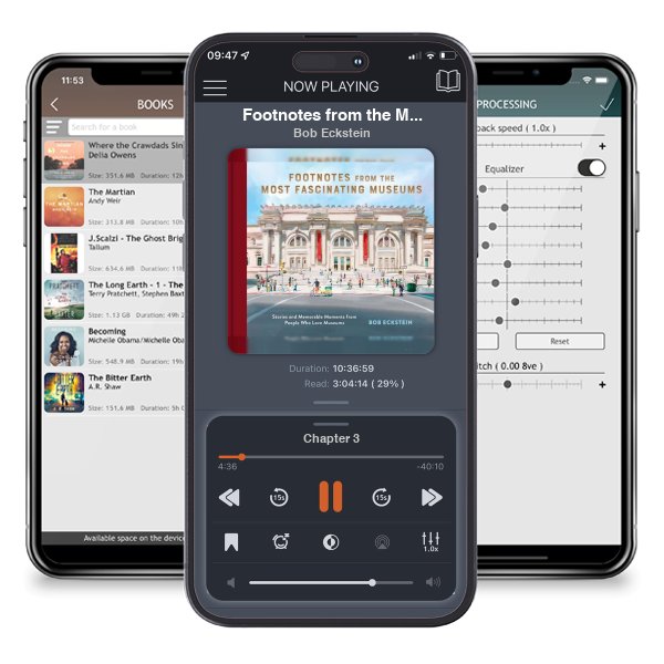 Download fo free audiobook Footnotes from the Most Fascinating Museums: Stories and... by Bob Eckstein and listen anywhere on your iOS devices in the ListenBook app.