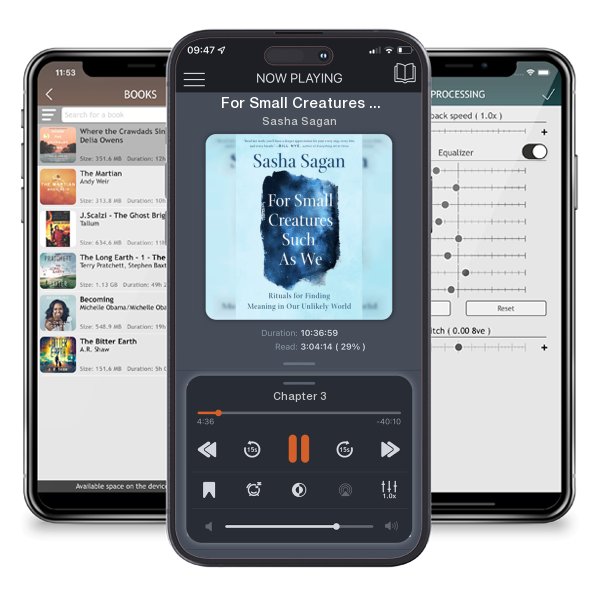 Download fo free audiobook For Small Creatures Such as We: Rituals for Finding Meaning... by Sasha Sagan and listen anywhere on your iOS devices in the ListenBook app.