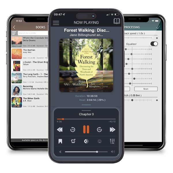 Download fo free audiobook Forest Walking: Discovering the Trees and Woodlands of North... by Jane Billinghurst and Peter Wohlleben and listen anywhere on your iOS devices in the ListenBook app.