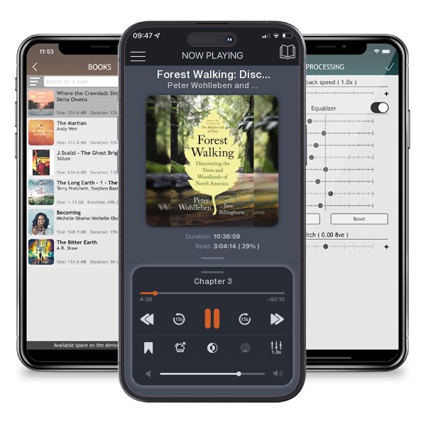 Download fo free audiobook Forest Walking: Discovering the Trees and Woodlands of North... by Peter Wohlleben and Jane Billinghurst and listen anywhere on your iOS devices in the ListenBook app.