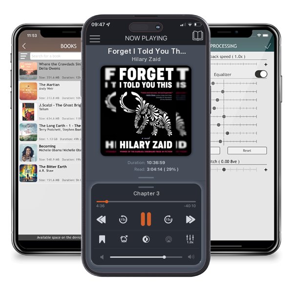 Download fo free audiobook Forget I Told You This by Hilary Zaid and listen anywhere on your iOS devices in the ListenBook app.