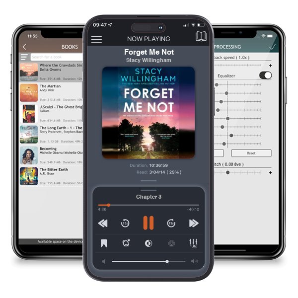 Download fo free audiobook Forget Me Not by Stacy Willingham and listen anywhere on your iOS devices in the ListenBook app.