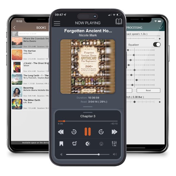 Download fo free audiobook Forgotten Ancient Home Apothecary Secrets for Beginners: 200+ Forgotten Herbal Remedies for Health and Wellness! by Nicole Mark and listen anywhere on your iOS devices in the ListenBook app.
