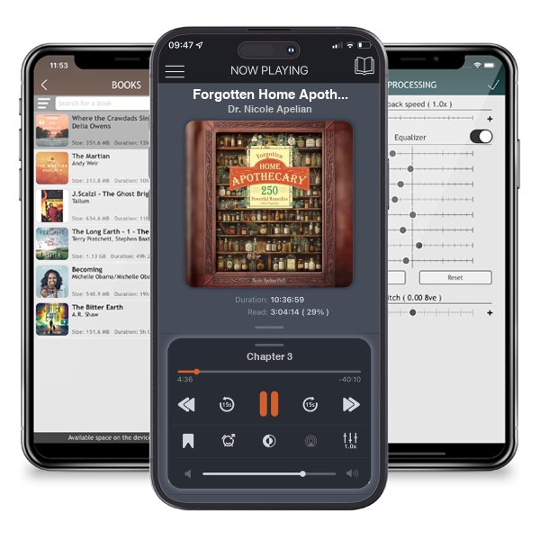 Download fo free audiobook Forgotten Home Apothecary : 250 Powerful Remedies at Your Fingertips by Dr. Nicole Apelian and listen anywhere on your iOS devices in the ListenBook app.