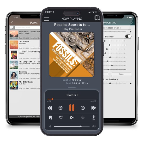 Download fo free audiobook Fossils: Secrets to Earth's History by Baby Professor and listen anywhere on your iOS devices in the ListenBook app.