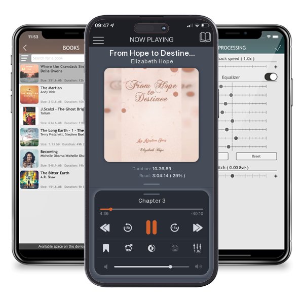 Download fo free audiobook From Hope to Destinee by Elizabeth Hope and listen anywhere on your iOS devices in the ListenBook app.