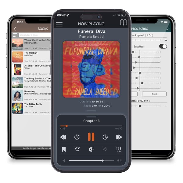 Download fo free audiobook Funeral Diva by Pamela Sneed and listen anywhere on your iOS devices in the ListenBook app.