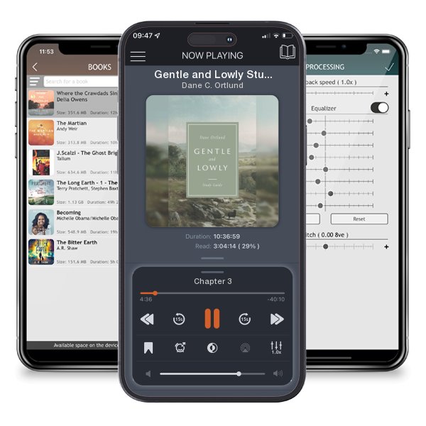 Download fo free audiobook Gentle and Lowly Study Guide by Dane C. Ortlund and listen anywhere on your iOS devices in the ListenBook app.
