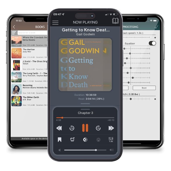 Download fo free audiobook Getting to Know Death: A Meditation by Gail Godwin and listen anywhere on your iOS devices in the ListenBook app.