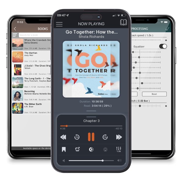 Download fo free audiobook Go Together: How the Concept of Ubuntu Will Change How We... by Shola Richards and listen anywhere on your iOS devices in the ListenBook app.