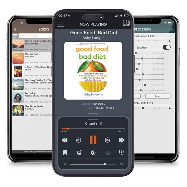 Download fo free audiobook Good Food, Bad Diet by Abby Langer and listen anywhere on your iOS devices in the ListenBook app.