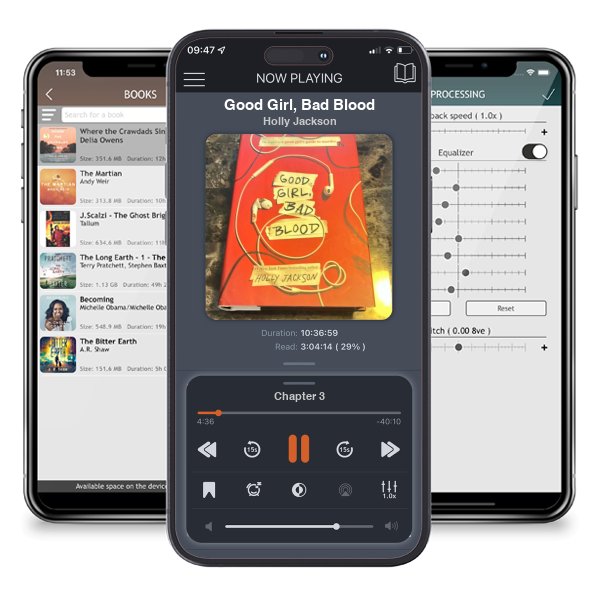 Download fo free audiobook Good Girl, Bad Blood by Holly Jackson and listen anywhere on your iOS devices in the ListenBook app.