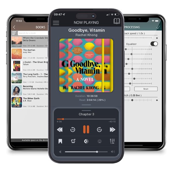 Download fo free audiobook Goodbye, Vitamin by Rachel Khong and listen anywhere on your iOS devices in the ListenBook app.