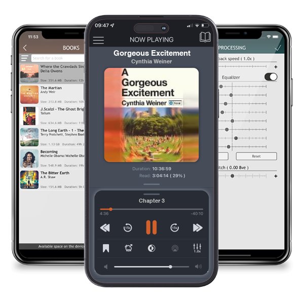 Download fo free audiobook Gorgeous Excitement by Cynthia Weiner and listen anywhere on your iOS devices in the ListenBook app.