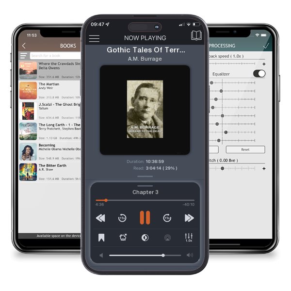 Download fo free audiobook Gothic Tales Of Terror - Volume 8: A classic collection of Gothic stories. In this volume we have Twain, Stevenson, Jerome & Poe by A.M. Burrage and listen anywhere on your iOS devices in the ListenBook app.