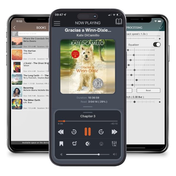 Descargar audiolibro gratis Gracias a Winn-Dixie (Because of Winn-Dixie) by Kate DiCamillo y escuchar en cualquier lugar en sus dispositivos iOS en la aplicación ListenBook.