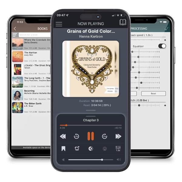 Download fo free audiobook Grains of Gold Coloring Book by Hanna Karlzon and listen anywhere on your iOS devices in the ListenBook app.