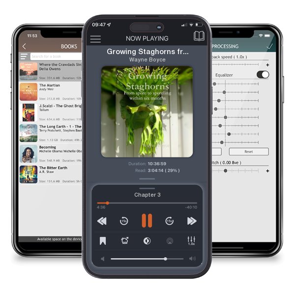 Download fo free audiobook Growing Staghorns from Spore by Wayne Boyce and listen anywhere on your iOS devices in the ListenBook app.