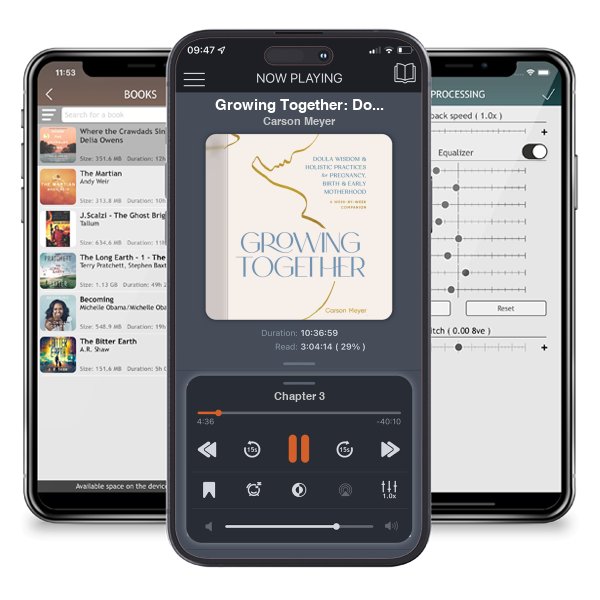Download fo free audiobook Growing Together: Doula Wisdom & Holistic Practices for Pregnancy, Birth & Early Motherhood by Carson Meyer and listen anywhere on your iOS devices in the ListenBook app.