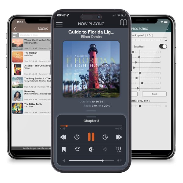 Download fo free audiobook Guide to Florida Lighthouses by Elinor Dewire and listen anywhere on your iOS devices in the ListenBook app.