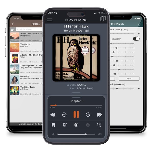 Download fo free audiobook H Is for Hawk by Helen MacDonald and listen anywhere on your iOS devices in the ListenBook app.