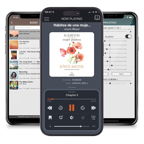 Descargar audiolibro gratis Hábitos de una mujer piadosa (Habits of a Godly Woman) by Joyce Meyer y escuchar en cualquier lugar en sus dispositivos iOS en la aplicación ListenBook.