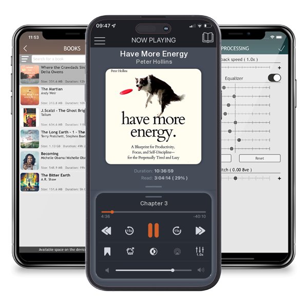 Download fo free audiobook Have More Energy by Peter Hollins and listen anywhere on your iOS devices in the ListenBook app.