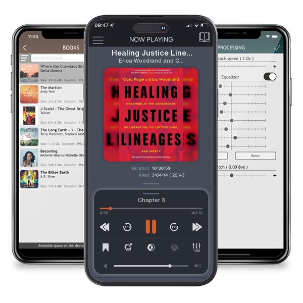 Download fo free audiobook Healing Justice Lineages: Dreaming at the Crossroads of... by Erica Woodland and Cara Page and listen anywhere on your iOS devices in the ListenBook app.