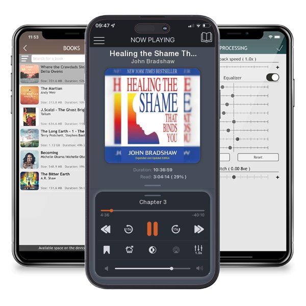 Download fo free audiobook Healing the Shame That Binds You: Recovery Classics Edition by John Bradshaw and listen anywhere on your iOS devices in the ListenBook app.