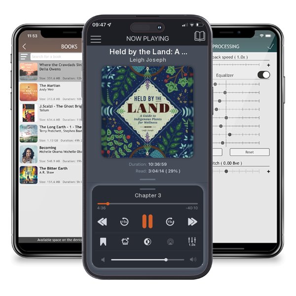 Download fo free audiobook Held by the Land: A Guide to Indigenous Plants for Wellness by Leigh Joseph and listen anywhere on your iOS devices in the ListenBook app.