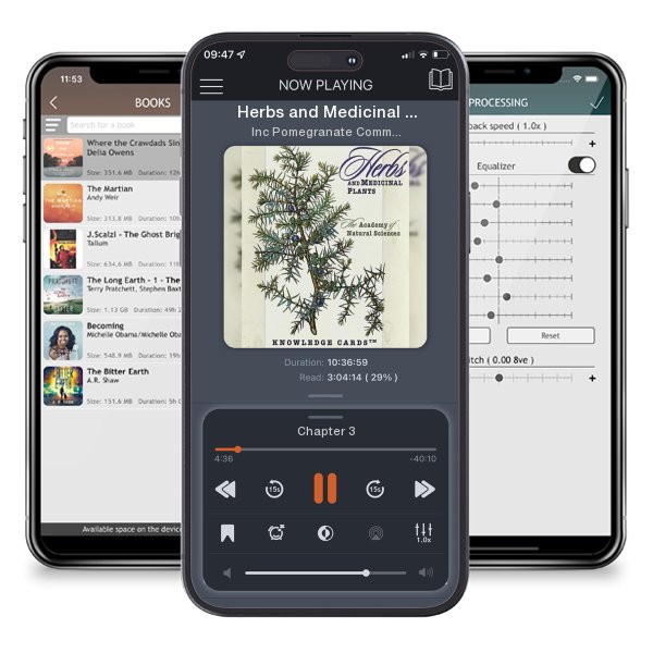 Download fo free audiobook Herbs and Medicinal Plants Knowledge Cards (Other) by Inc Pomegranate Communications and listen anywhere on your iOS devices in the ListenBook app.