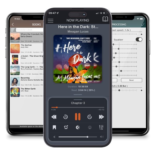 Download fo free audiobook Here in the Dark: Stories by Meagan Lucas and listen anywhere on your iOS devices in the ListenBook app.