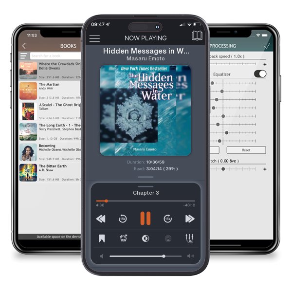 Download fo free audiobook Hidden Messages in Water by Masaru Emoto and listen anywhere on your iOS devices in the ListenBook app.