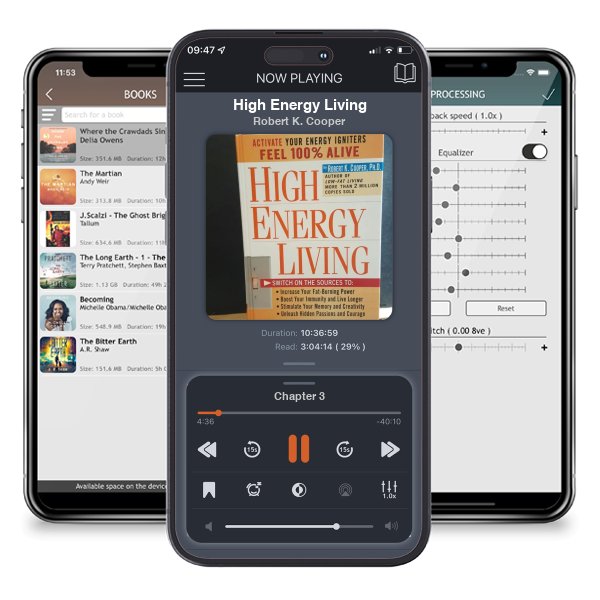 Download fo free audiobook High Energy Living by Robert K. Cooper and listen anywhere on your iOS devices in the ListenBook app.