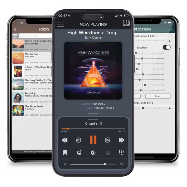 Download fo free audiobook High Weirdness: Drugs, Esoterica, and Visionary Experience in... by Erik Davis and listen anywhere on your iOS devices in the ListenBook app.
