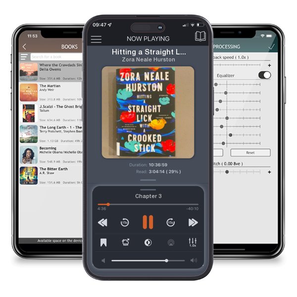 Download fo free audiobook Hitting a Straight Lick with a Crooked Stick by Zora Neale Hurston and listen anywhere on your iOS devices in the ListenBook app.