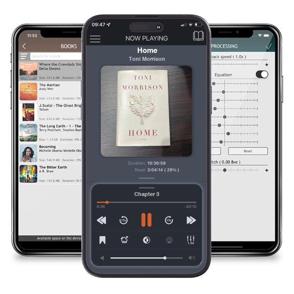 Download fo free audiobook Home by Toni Morrison and listen anywhere on your iOS devices in the ListenBook app.