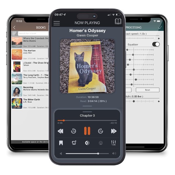 Download fo free audiobook Homer's Odyssey by Gwen Cooper and listen anywhere on your iOS devices in the ListenBook app.