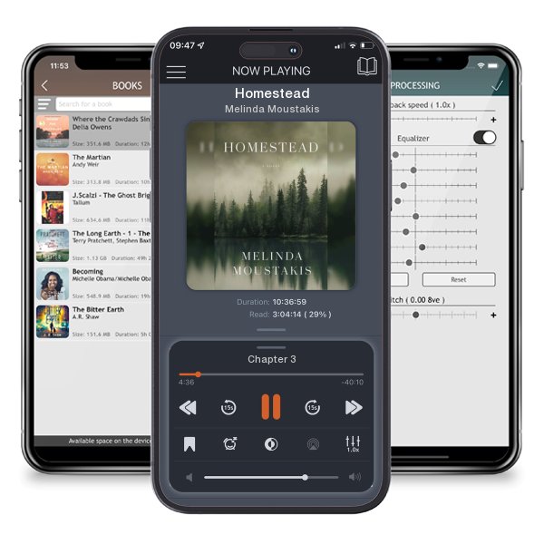 Download fo free audiobook Homestead by Melinda Moustakis and listen anywhere on your iOS devices in the ListenBook app.