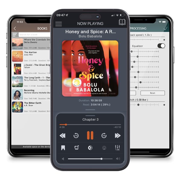 Download fo free audiobook Honey and Spice: A Reese's Book Club Pick by Bolu Babalola and listen anywhere on your iOS devices in the ListenBook app.