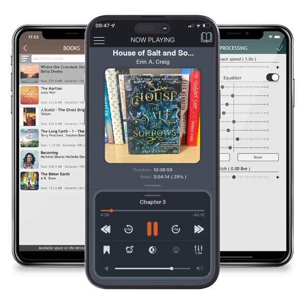 Download fo free audiobook House of Salt and Sorrows by Erin A. Craig and listen anywhere on your iOS devices in the ListenBook app.