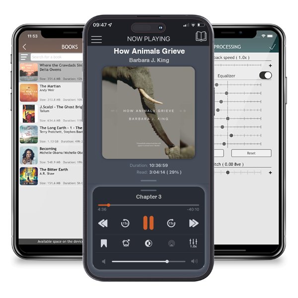 Download fo free audiobook How Animals Grieve by Barbara J. King and listen anywhere on your iOS devices in the ListenBook app.