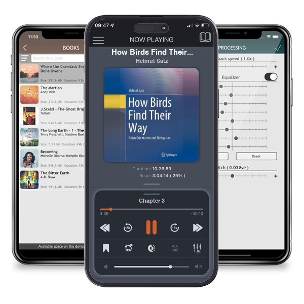 Download fo free audiobook How Birds Find Their Way: Avian Orientation and Navigation by Helmut Satz and listen anywhere on your iOS devices in the ListenBook app.