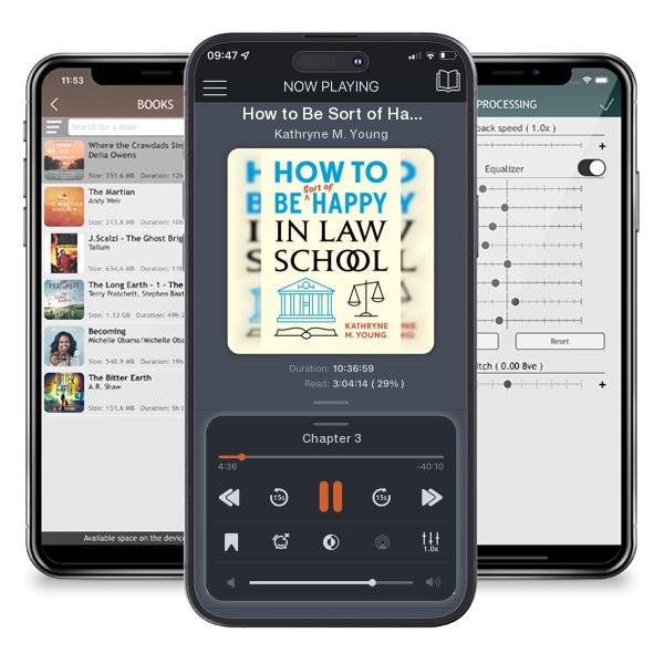 Download fo free audiobook How to Be Sort of Happy in Law School by Kathryne M. Young and listen anywhere on your iOS devices in the ListenBook app.