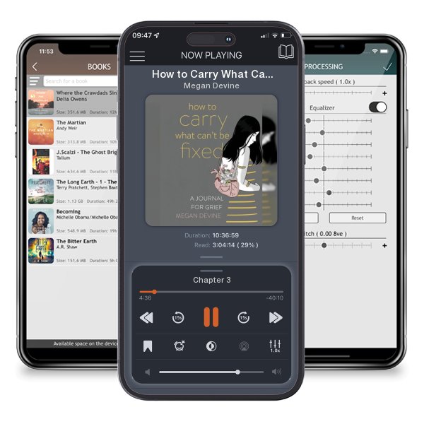 Download fo free audiobook How to Carry What Can't Be Fixed: A Journal for Grief by Megan Devine and listen anywhere on your iOS devices in the ListenBook app.