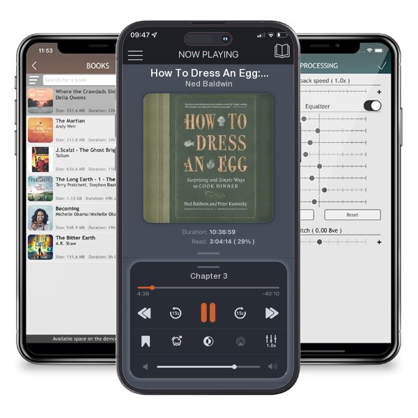 Download fo free audiobook How To Dress An Egg: Surprising and Simple Ways to Cook Dinner by Ned Baldwin and listen anywhere on your iOS devices in the ListenBook app.