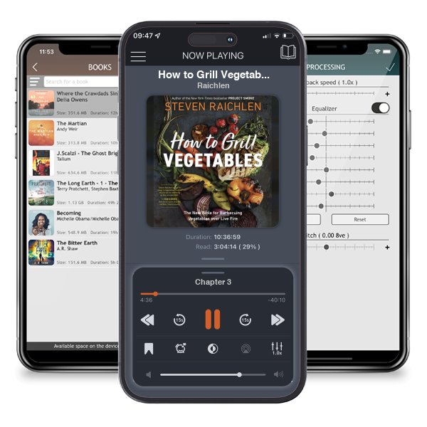 Download fo free audiobook How to Grill Vegetables by Raichlen and listen anywhere on your iOS devices in the ListenBook app.