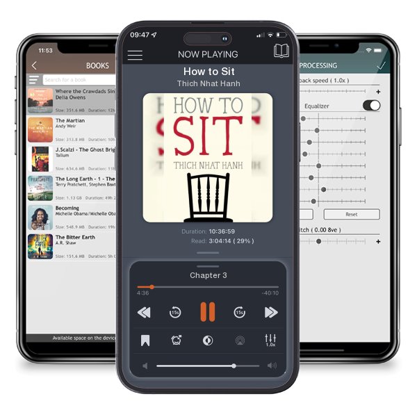 Download fo free audiobook How to Sit by Thich Nhat Hanh and listen anywhere on your iOS devices in the ListenBook app.